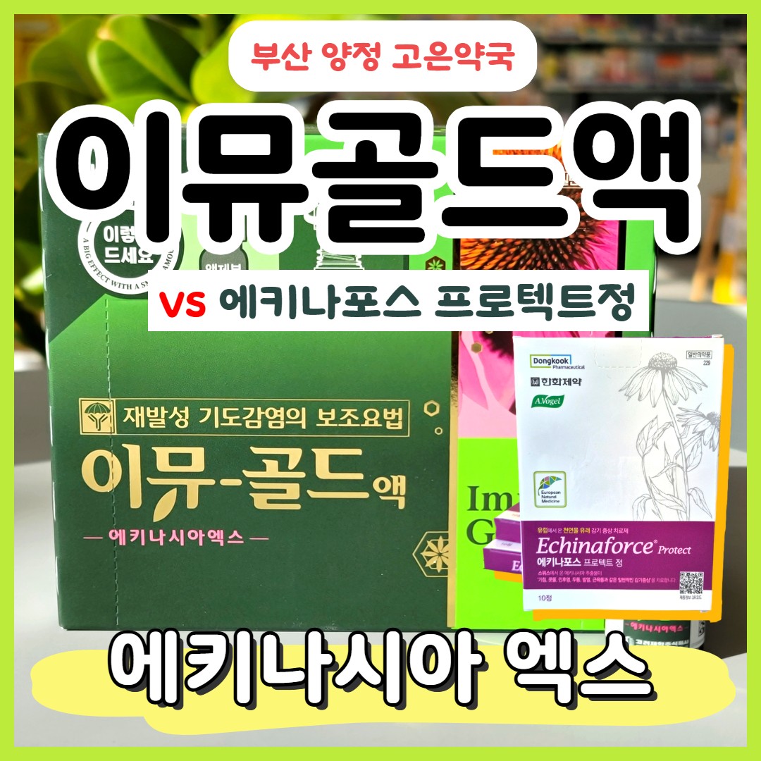 이뮤골드액 vs 에키나포스 , 에키나시아 추출물, 환절기 반복성 감기 기관지염 면역강화제