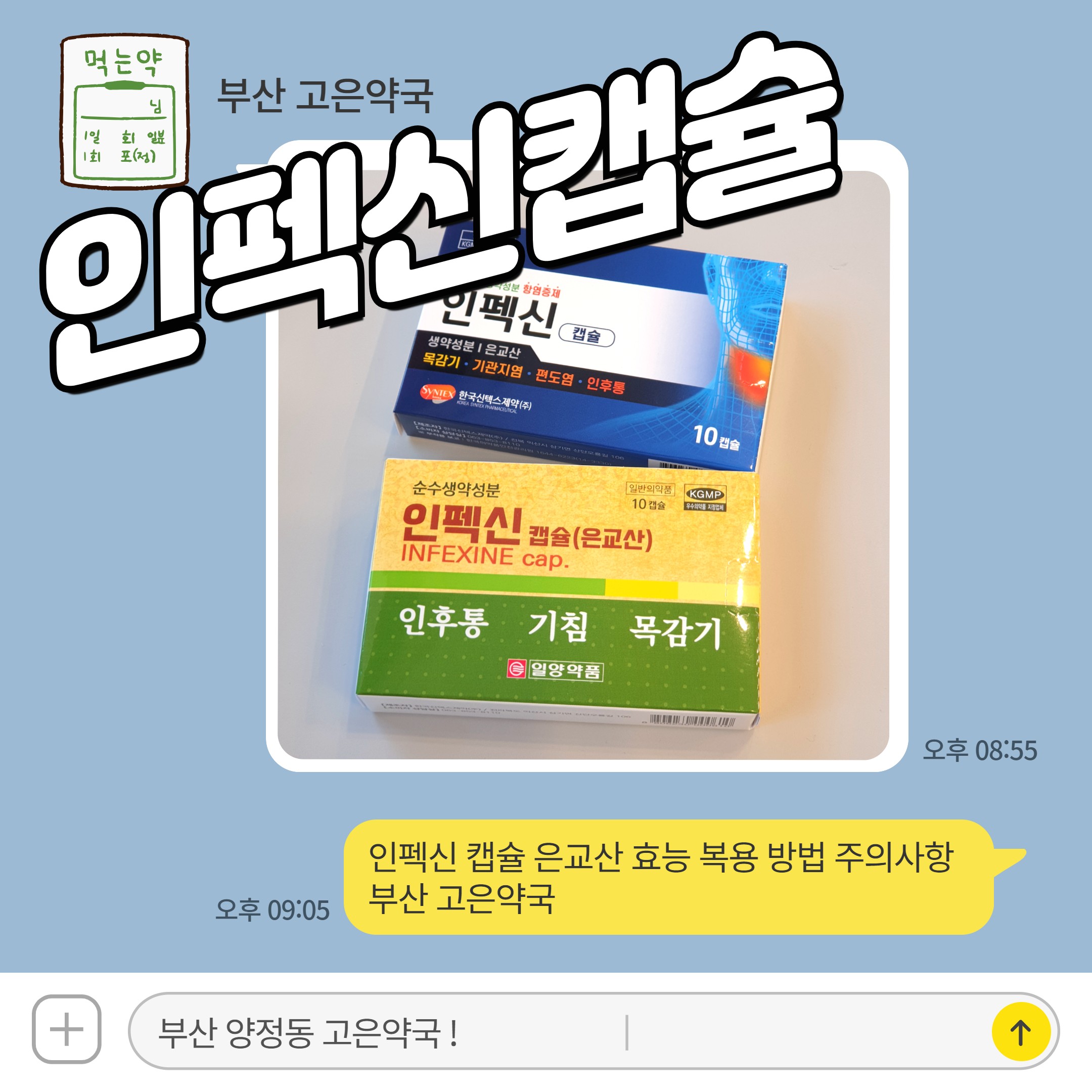 인펙신 캡슐 은교산 효능 복용 방법 주의사항 부산 고은약국