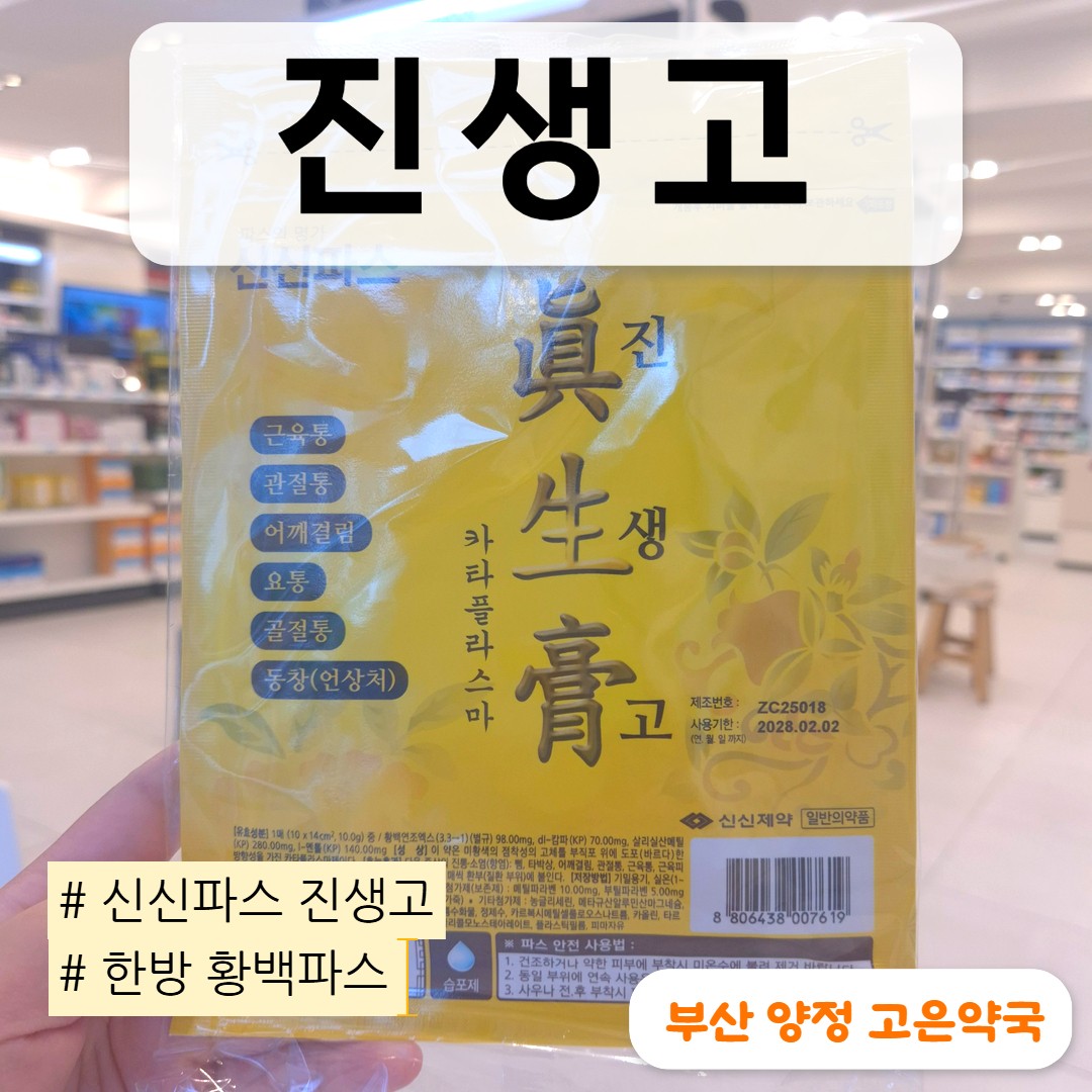 신신파스 진생고 카타플라스마 파스 파는곳, 효과, 황백파스