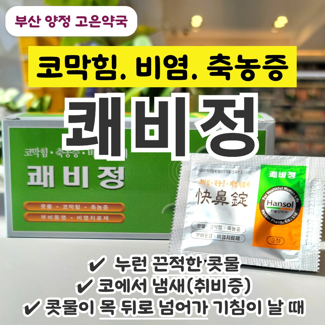 한솔 쾌비정 축농증 효과 / 코막힘, 누런 콧물에 도움되는 한방약