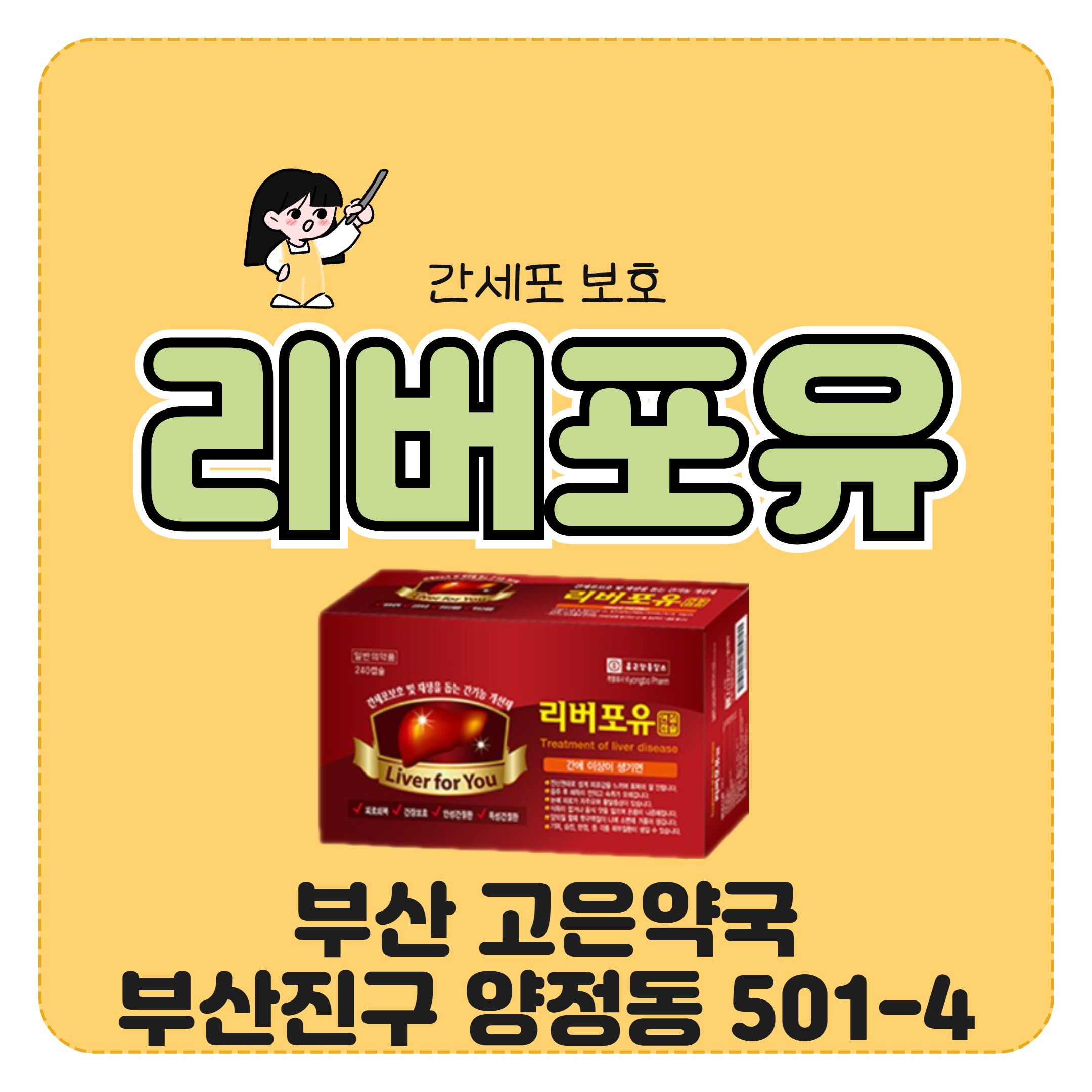 부산 종근당 리버포유 간세포보호 기능을 할 수 있는 이유는?