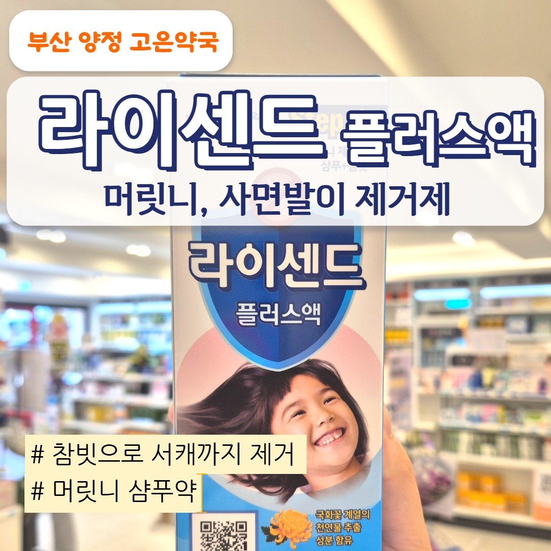 라이센드플러스액 사용법·주의사항 총정리｜머릿니·옴 치료부터 강아지 사용 여부까지!