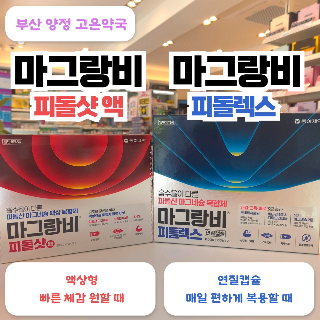 마그랑비 피돌렉스 vs 마그랑비 피돌샷, 피돌산마그네슘 2종 비교, 판매 약국과 가격