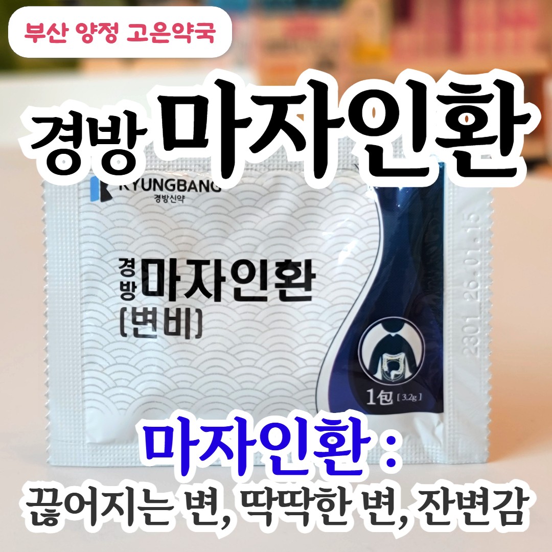 변이 딱딱하고 잘 안 나온다면? 경방 마자인환 효과 · 체질 · 복용법 한눈에 정리