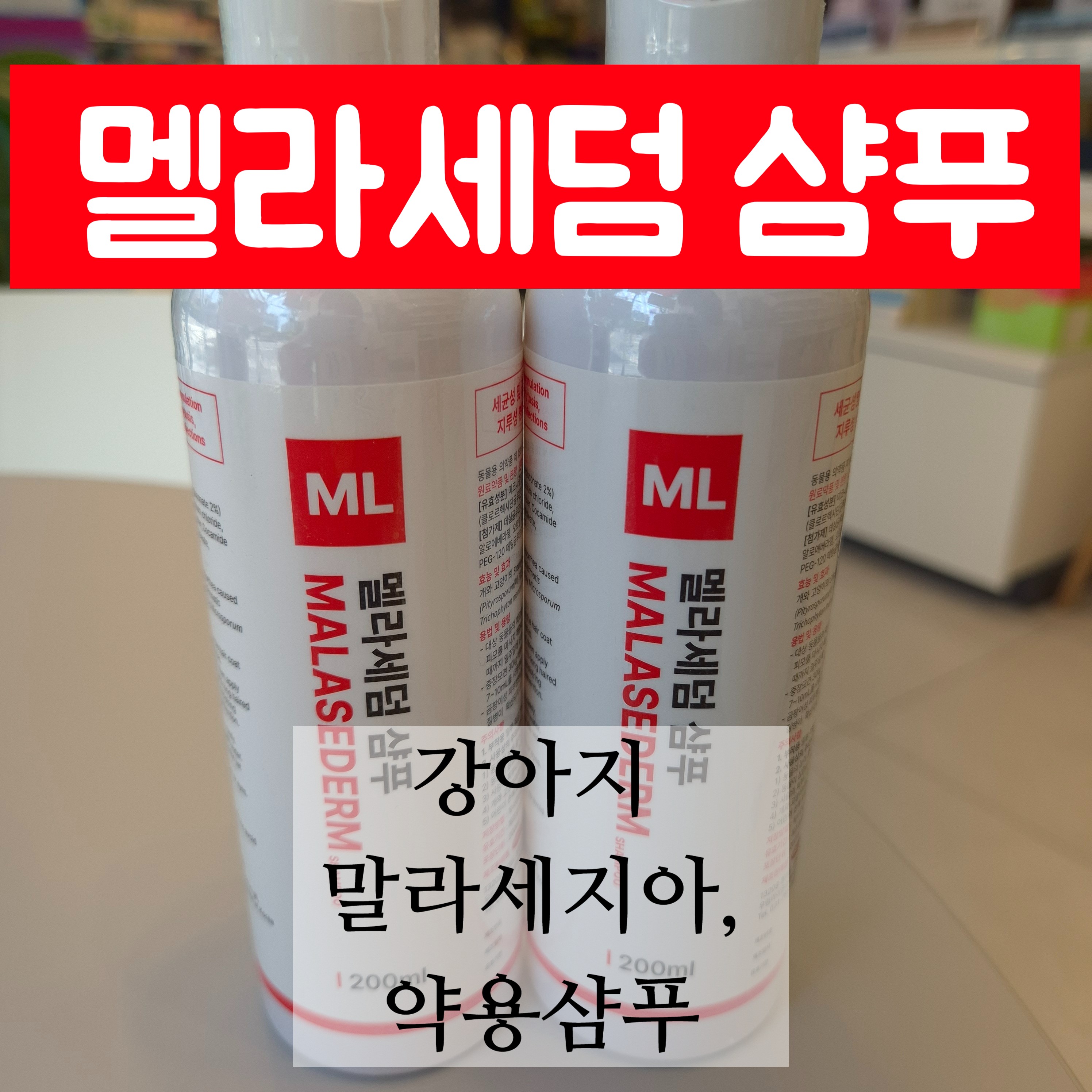 멜라세덤 샴푸, 10분 안 지키면 소용없어요 말라세지아 관리 / 부산 동물약국 고은약국
