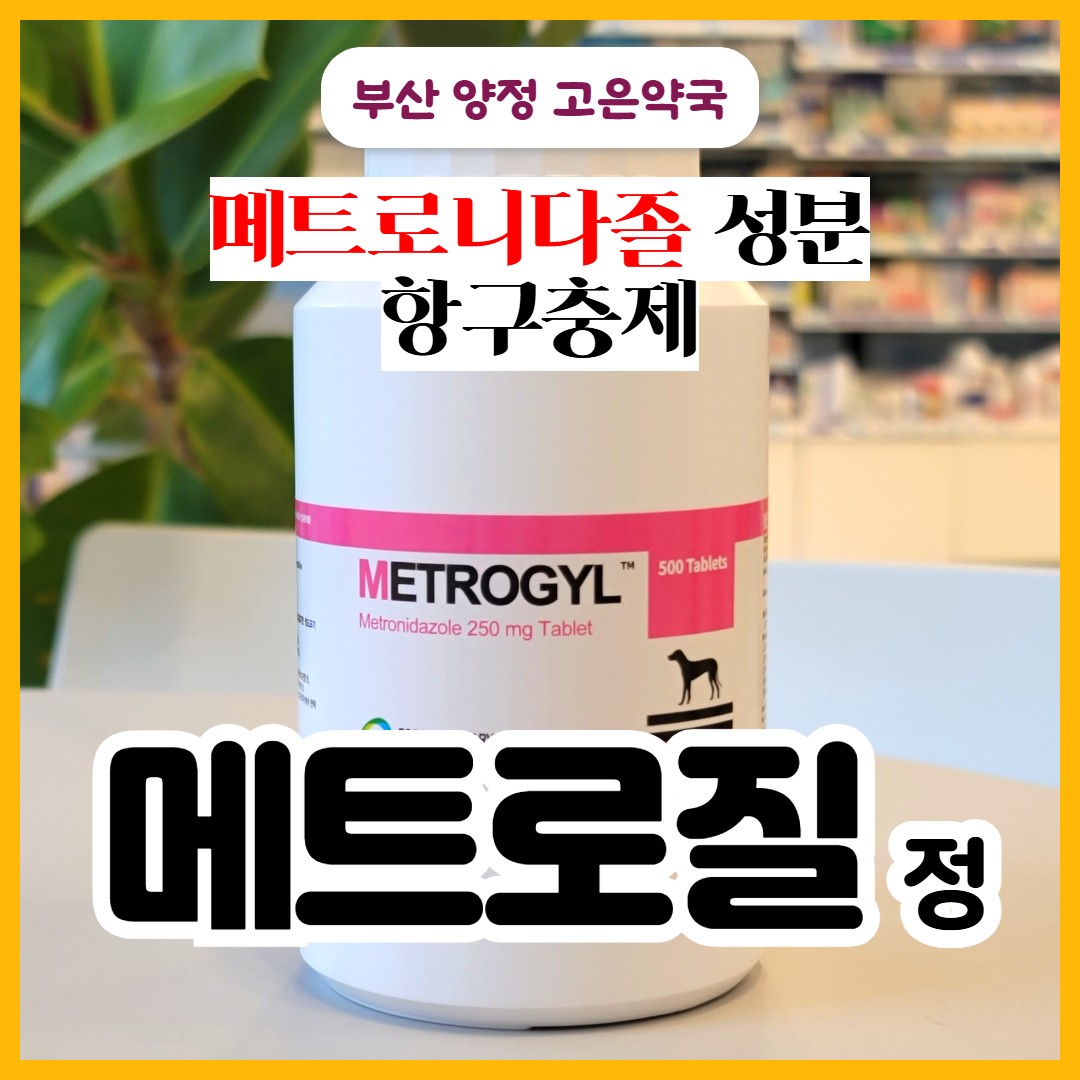 메트로질정 메트로니다졸 강아지 지알디아 약, 고양이 · 물고기 사용 전 꼭 알아둘 점