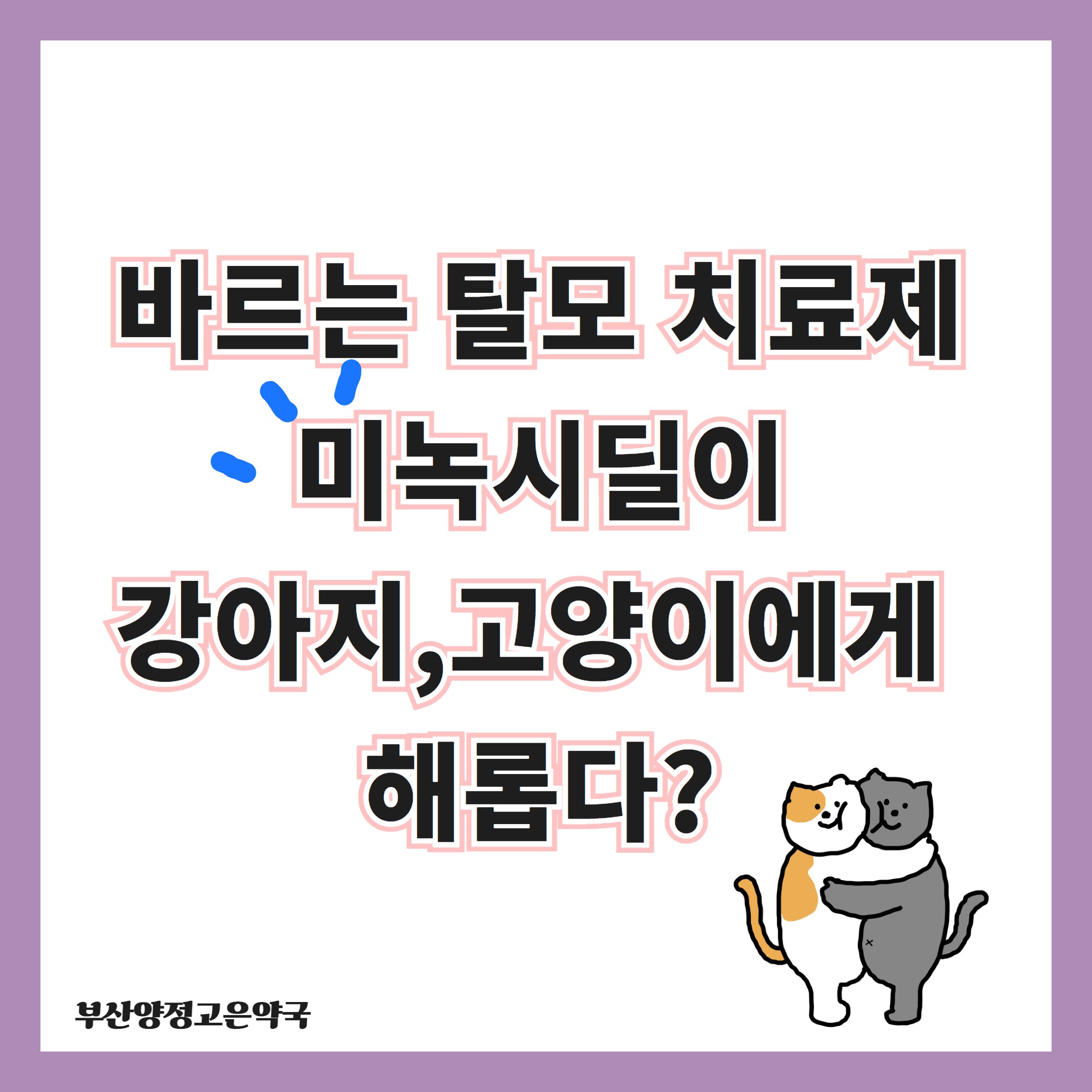 미녹시딜 사용 시 강아지 고양이 키우신다면 주의하세요!