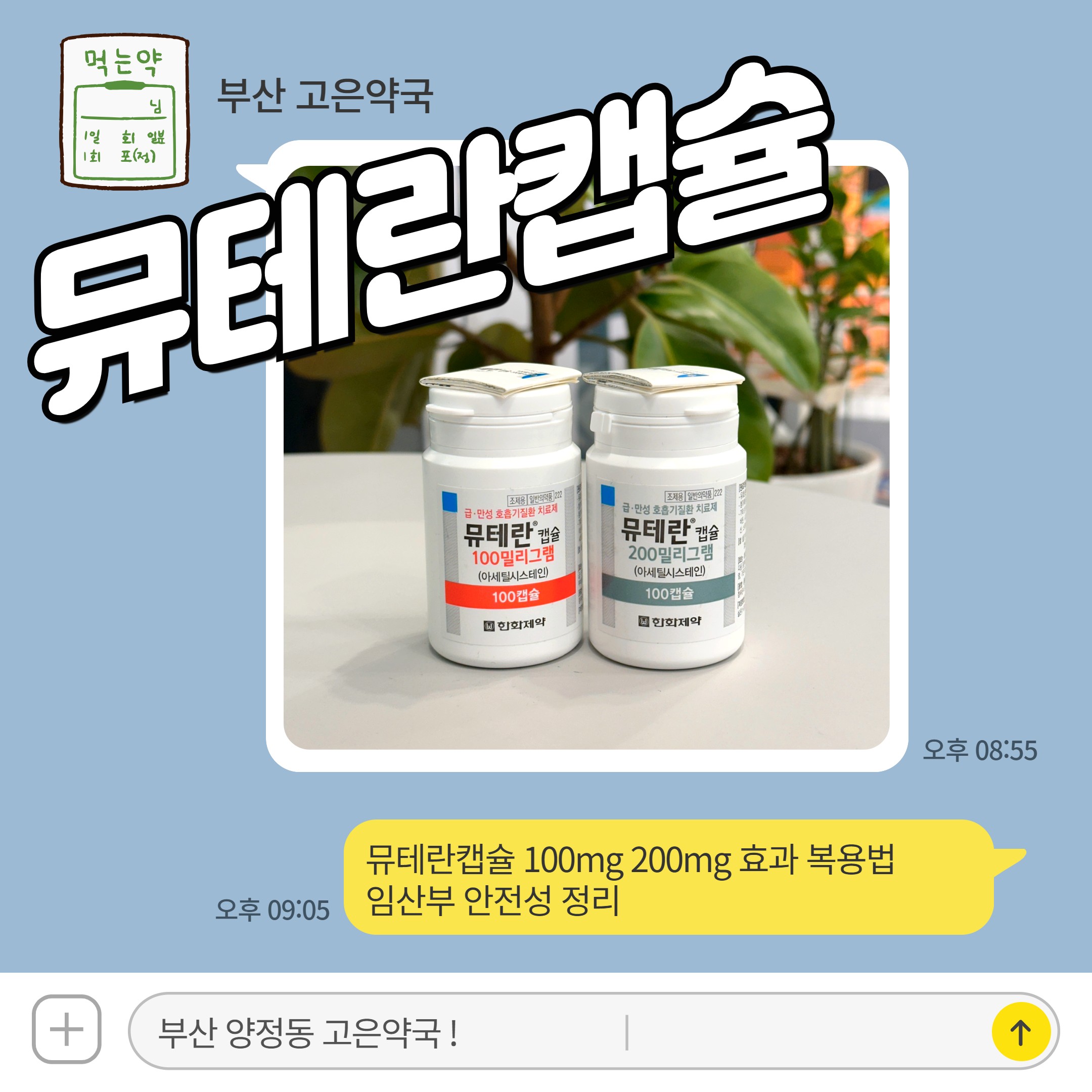 뮤테란캡슐 100mg 200mg 효과 복용법 임산부 안전성 정리