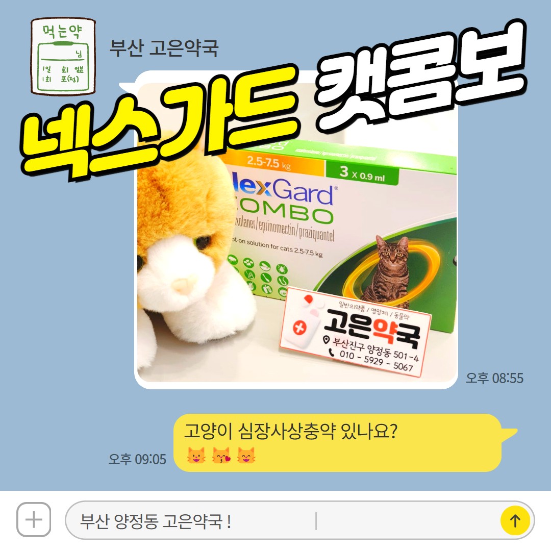 브로드라인 다음은 넥스가드 캣 콤보! 고양이 내·외부기생충, 한 달에 한 번이면 OK