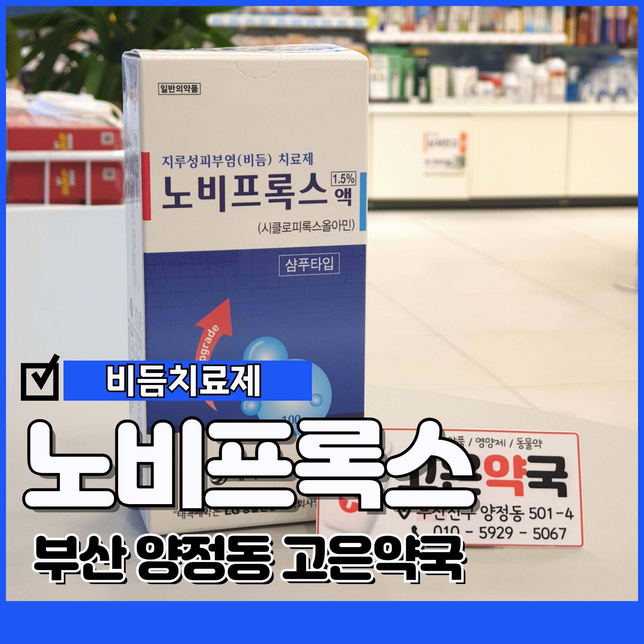 노비프록스 가격 비듬 지루성 두피염 샴푸 효과 부산 판매약국