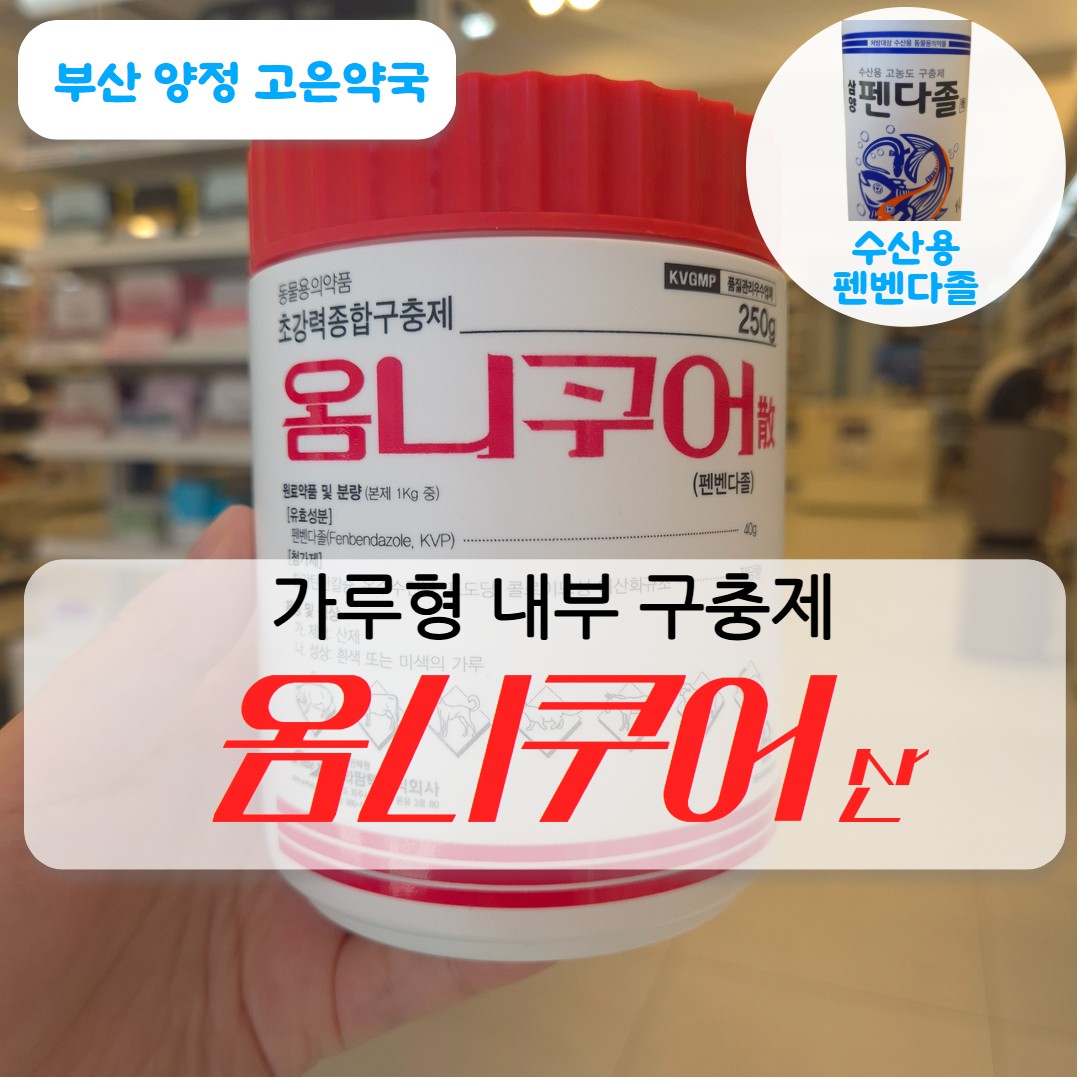 옴니쿠어산, 약국 가격, 약밥 자세한 사용법부터 주의점까지