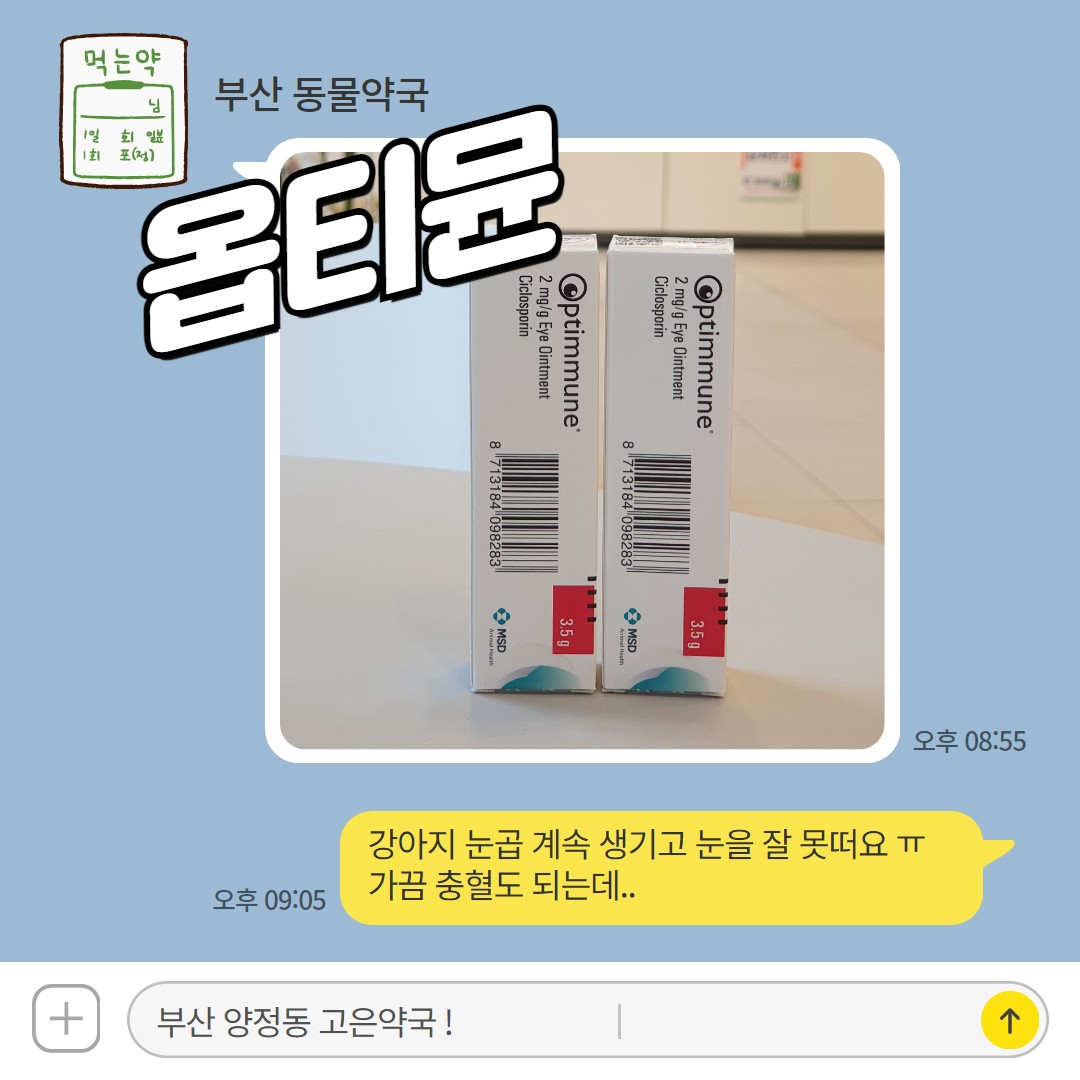 강아지 안구건조 옵티뮨 안연고 구입 부산 동물약국