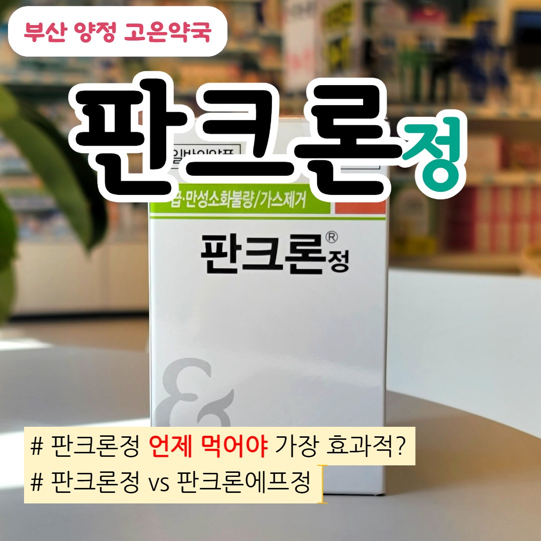 판크론정 복용법·효과 총정리, 식후 복용이 중요한 이유와 장기복용 주의점