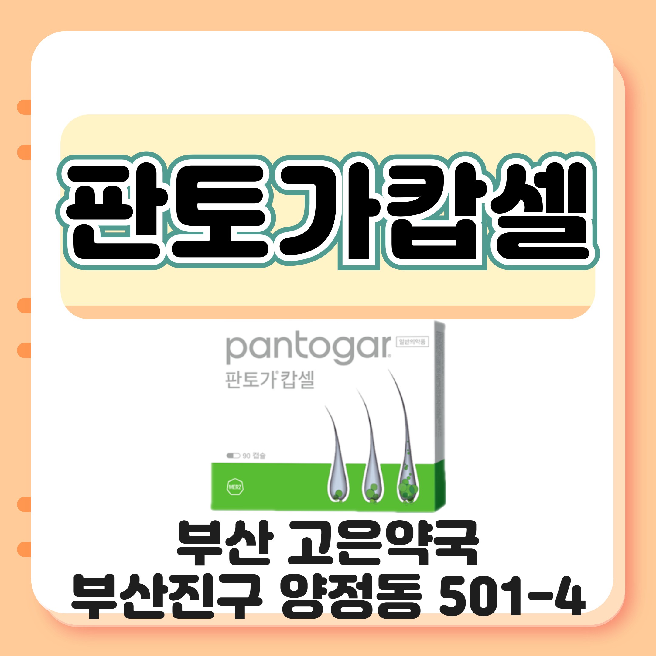 부산 오리지널 판토가 캅셀 가늘어진머리카락 탈모약