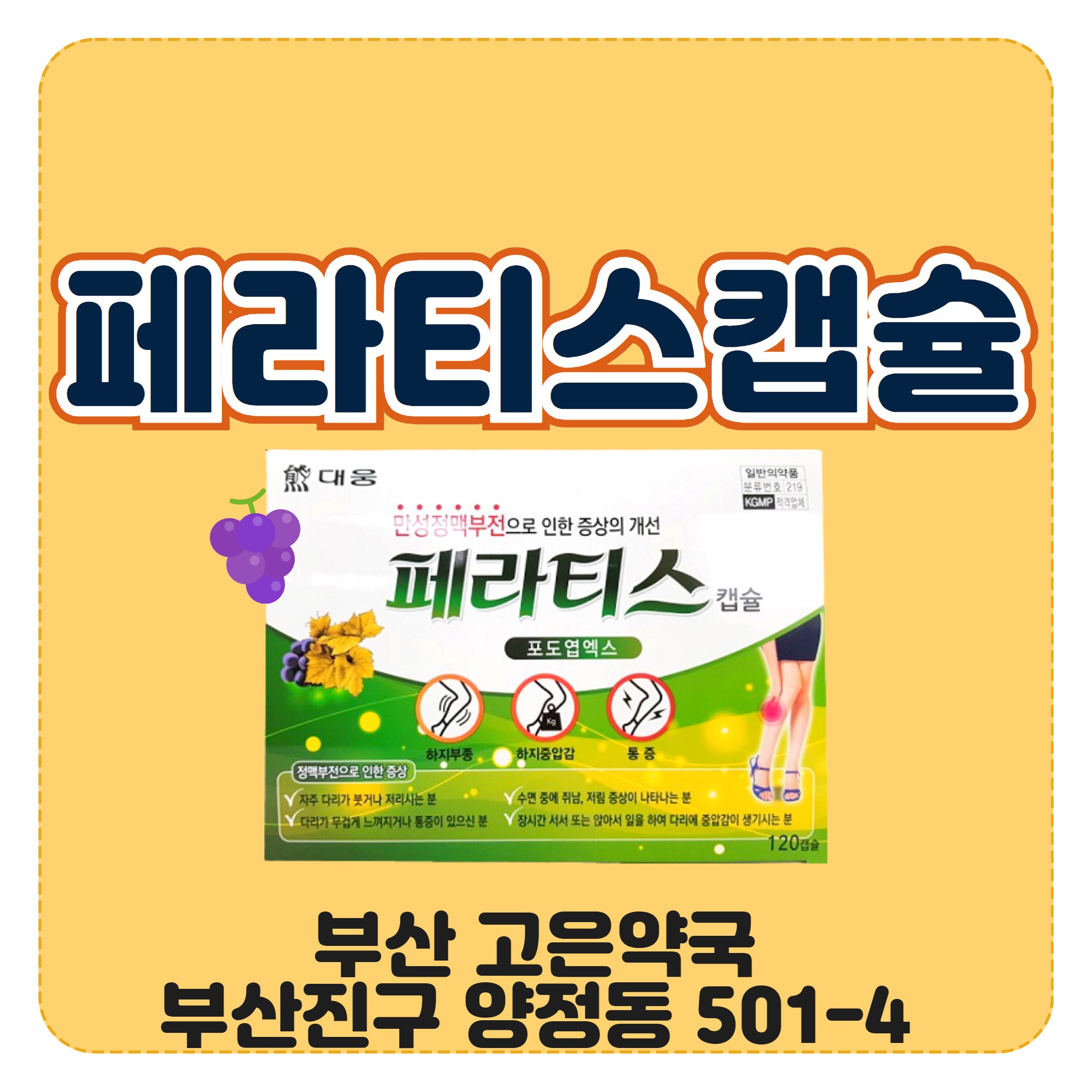 페라티스 캡슐 포도엽엑스 만성 정맥부전 하지부종 종아리붓기