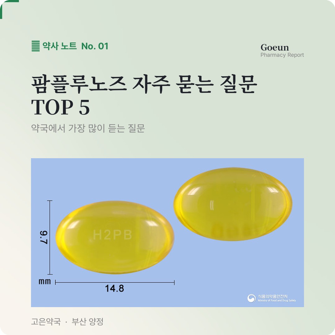 팜플루노즈 자주 묻는 질문