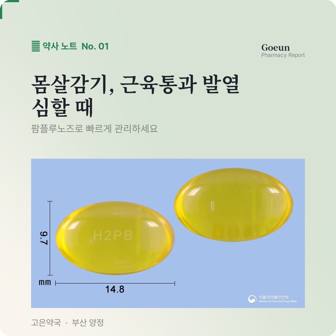 팜플루노즈연질캡 두통 코막힘 콧물에 어떤가요?