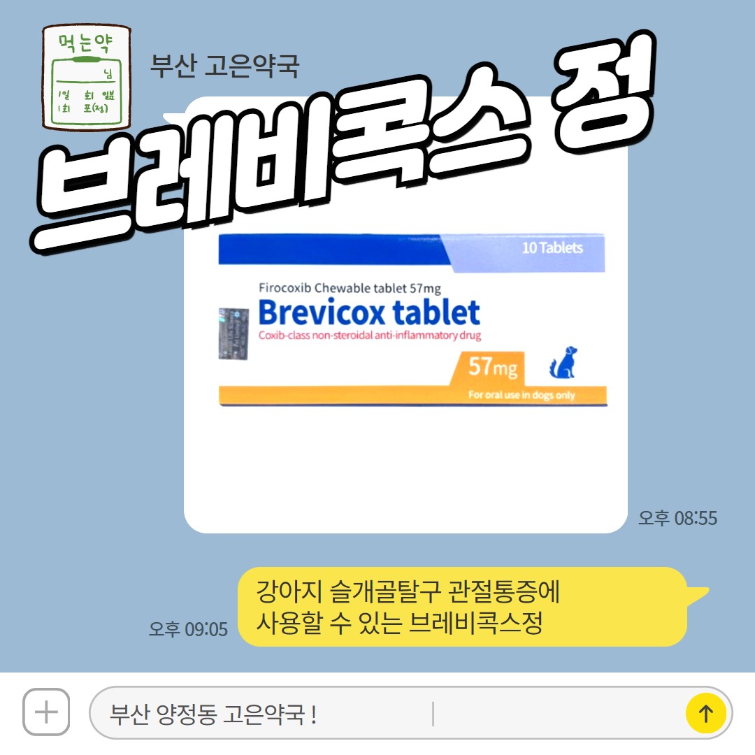 브레비콕스 강아지 관절 진통제, 슬개골 수술 후, 발치 후 통증 관리