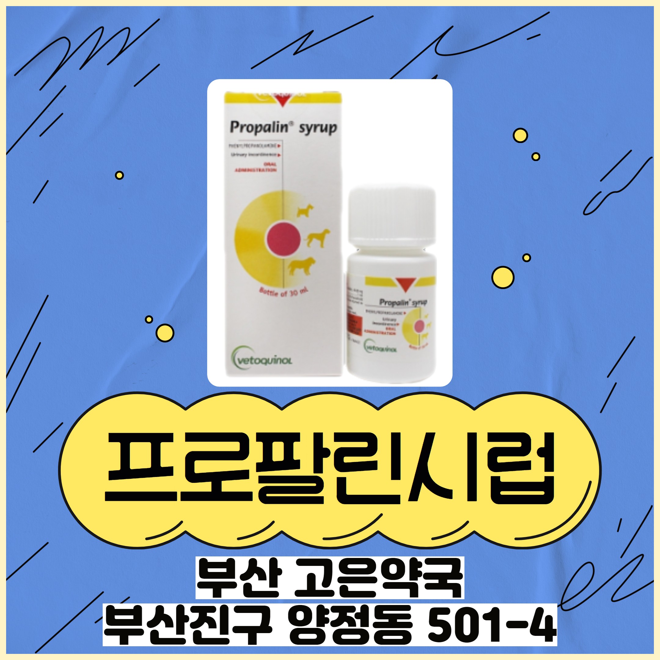 프로팔린시럽 노령견의 요실금 치료제 투약방법과 효능