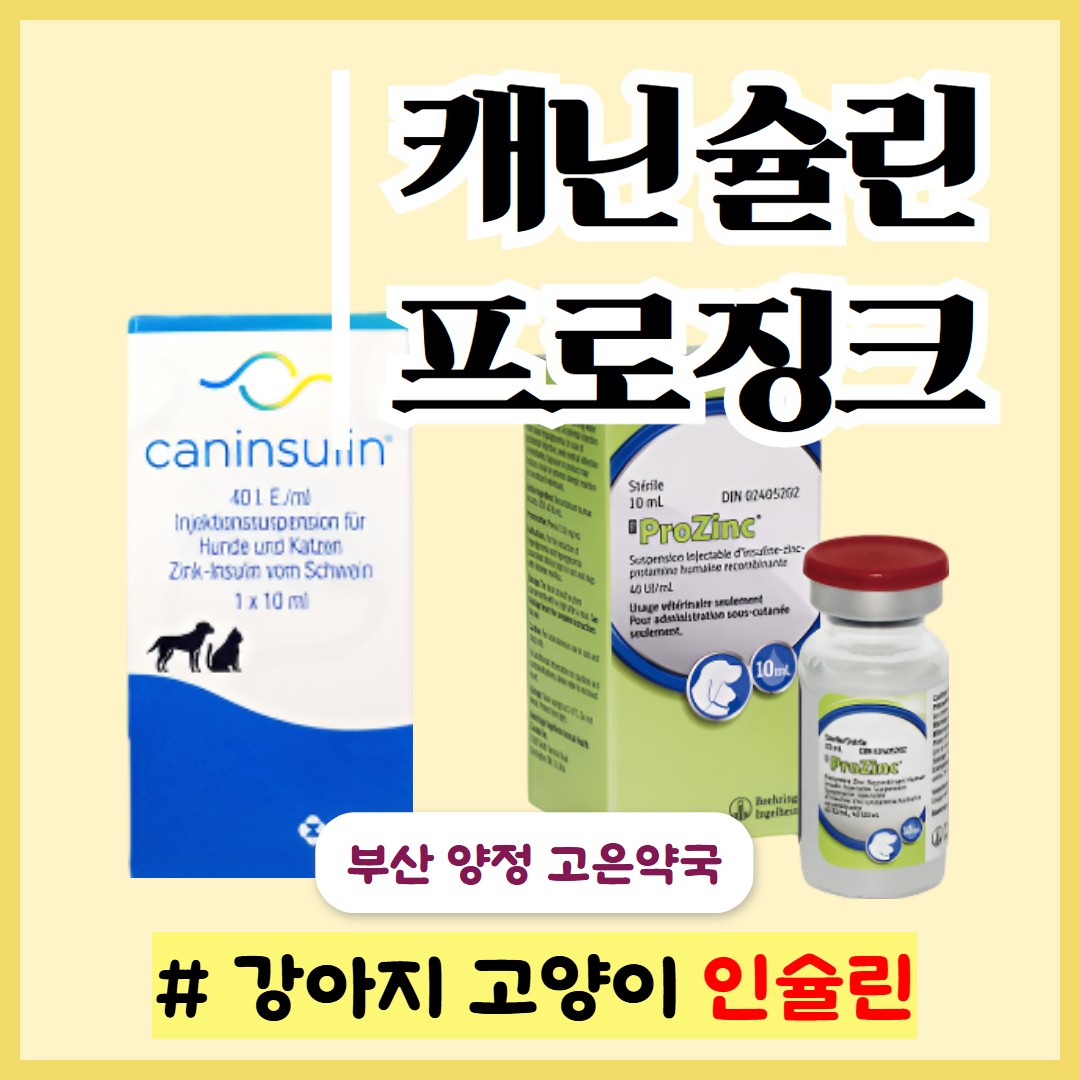 부산 동물약국, 강아지 고양이 인슐린 - 프로징크 주, 캐닌슐린