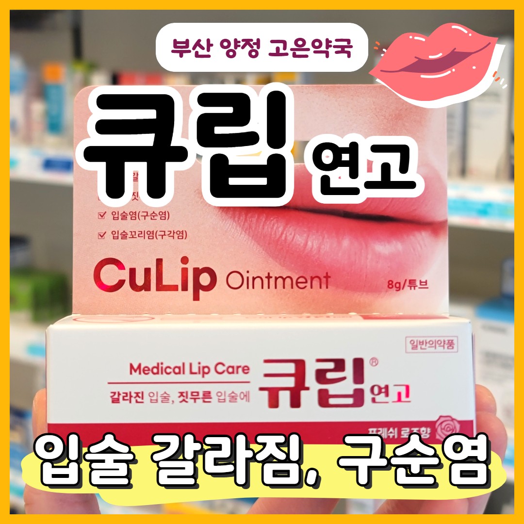 입술 갈라짐과 구순염, 큐립 연고 립밤으로 치료! 큐립 약국 구매