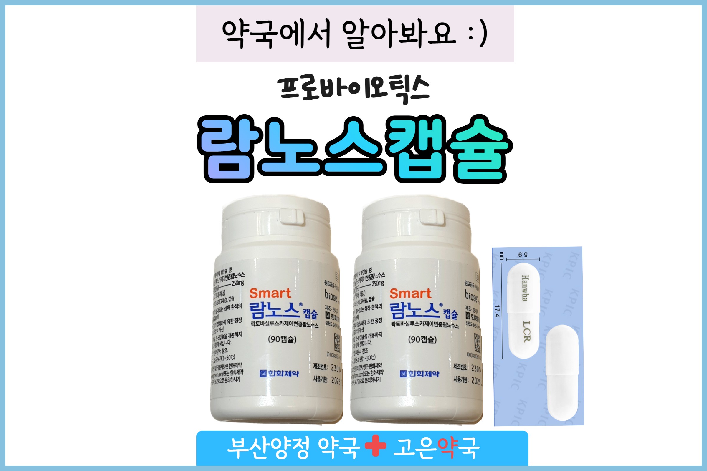 람노스캡슐 250mg 500mg 생유산균 효과 부작용