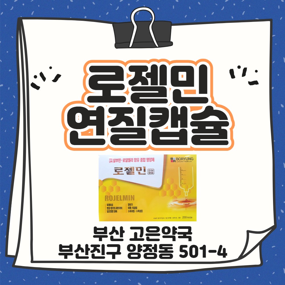 부산 로젤민연질캡슐 알부민 로얄젤리 함유 영양제