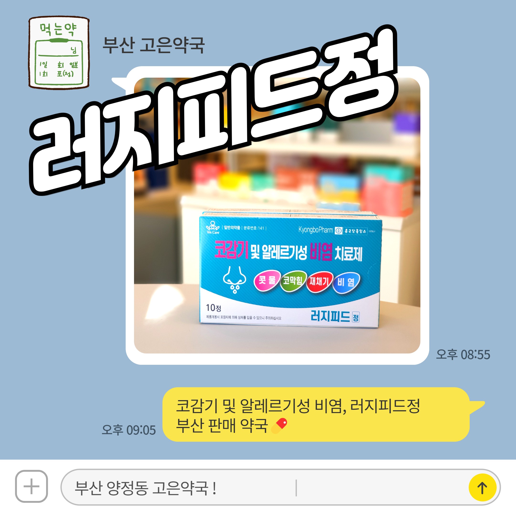 러지피드정 강력한 코막힘 완화제 봄철 알레르기 비염