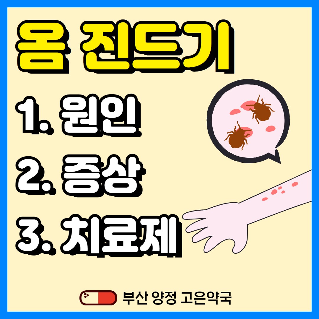 옴진드기 옴 피부 증상, 감염 원인, 전염성, 약국 옴 치료제