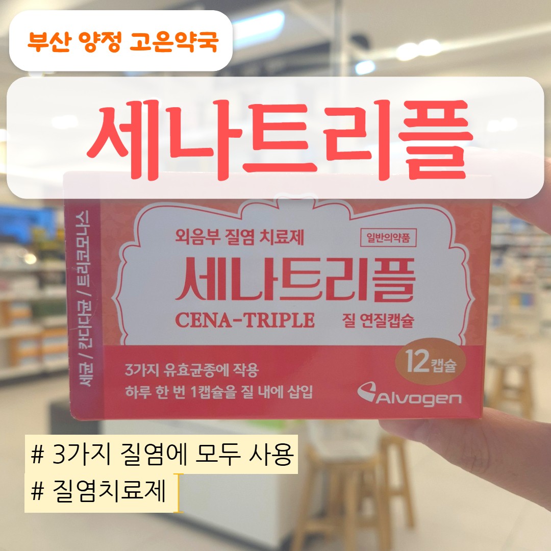 세나트리플 질정 질염 치료제 사용법, 효과, 가격, 판매 약국 (feat. 생리중 가능?)