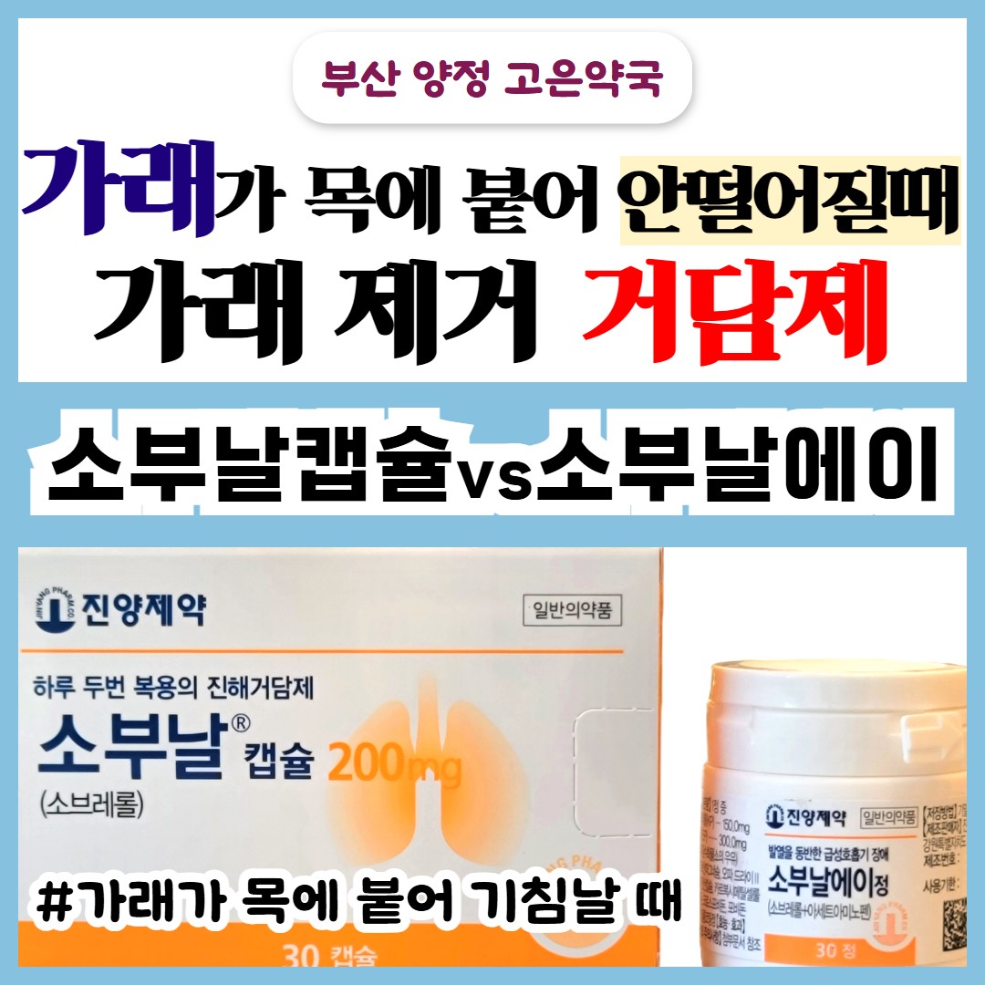 가래약 소브레롤,  소부날캡슐 vs 소부날에이정, 가래가 안떨어질때