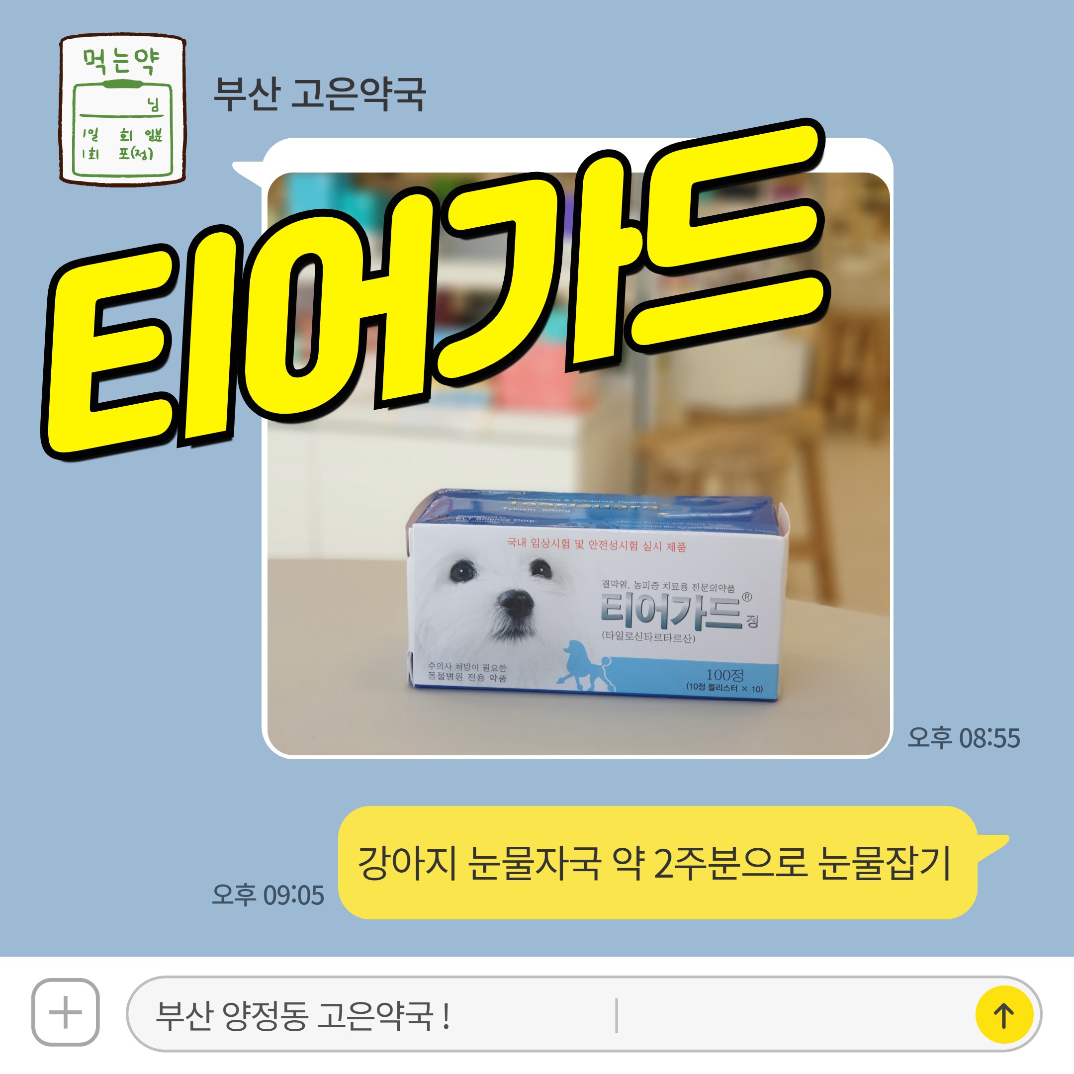 티어가드 정, 강아지 눈물자국 약 2주분으로 눈물 잡기 동물약국