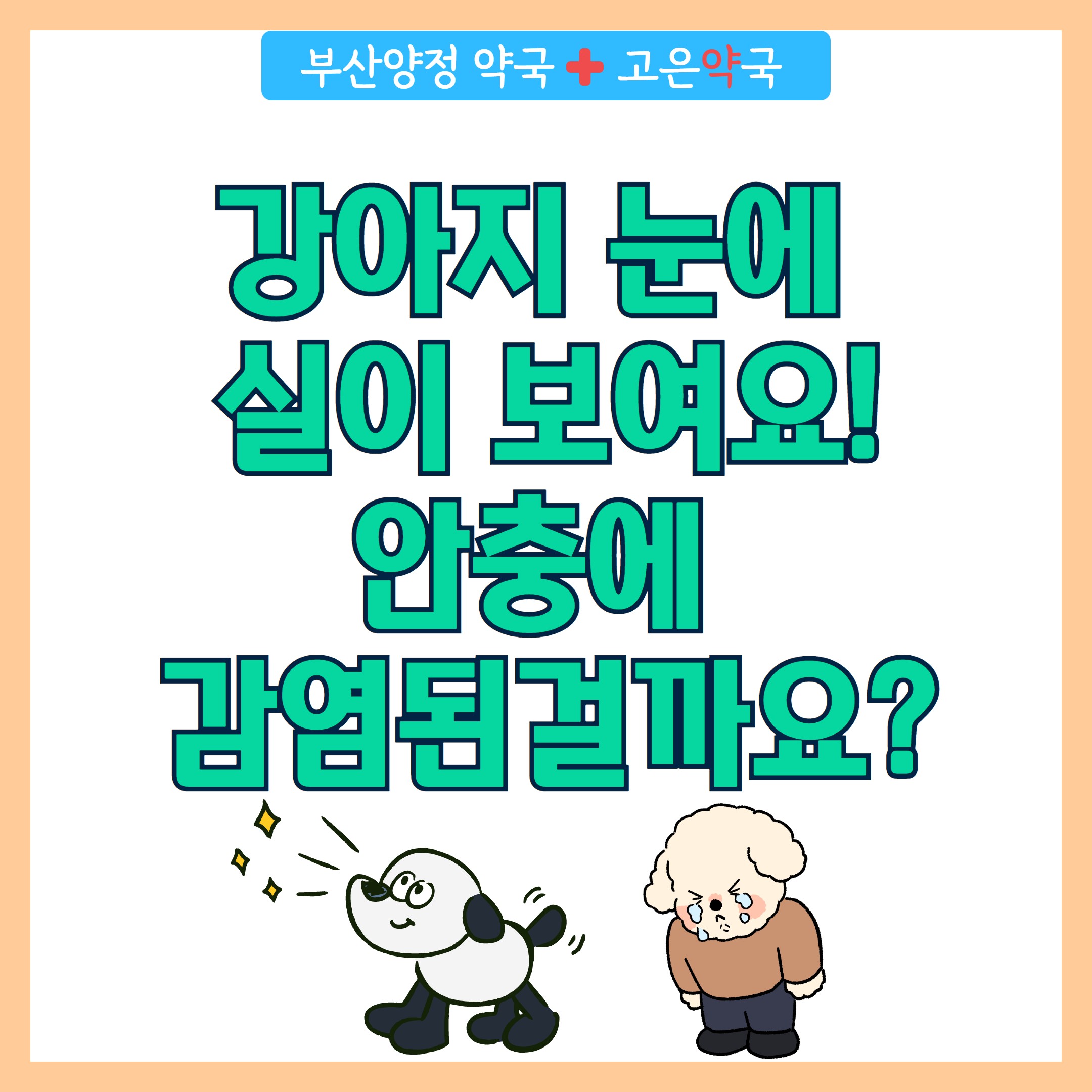 강아지 동양안충 의심 증상과 확인방법, 치료 가능