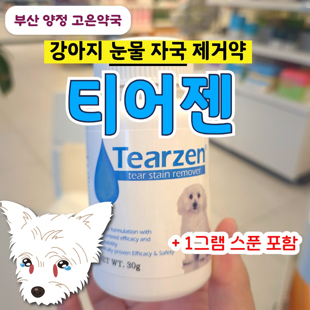 강아지눈물 자국 냄새 없애기, 티어젠 급여 후 효과, 가격, 부작용 알아보기