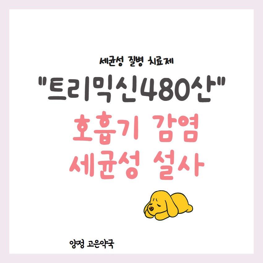 트리믹신480산 호흡기 감염, 세균성 설사