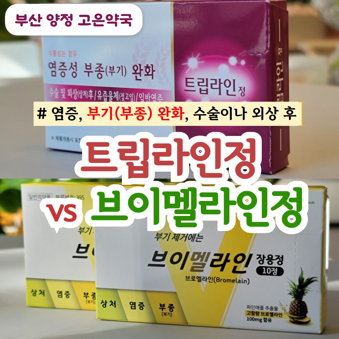 트립라인정 vs 브이멜라인정, 붓기·염증·수술 후 회복에 어떤 약이 더 좋을까?