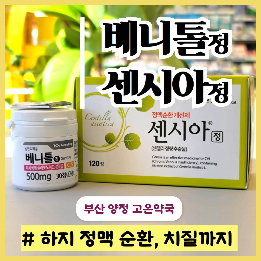 정맥혈액순환 대표약 3종 비교하기, 베니톨 vs 센시아 vs 디오라인 정