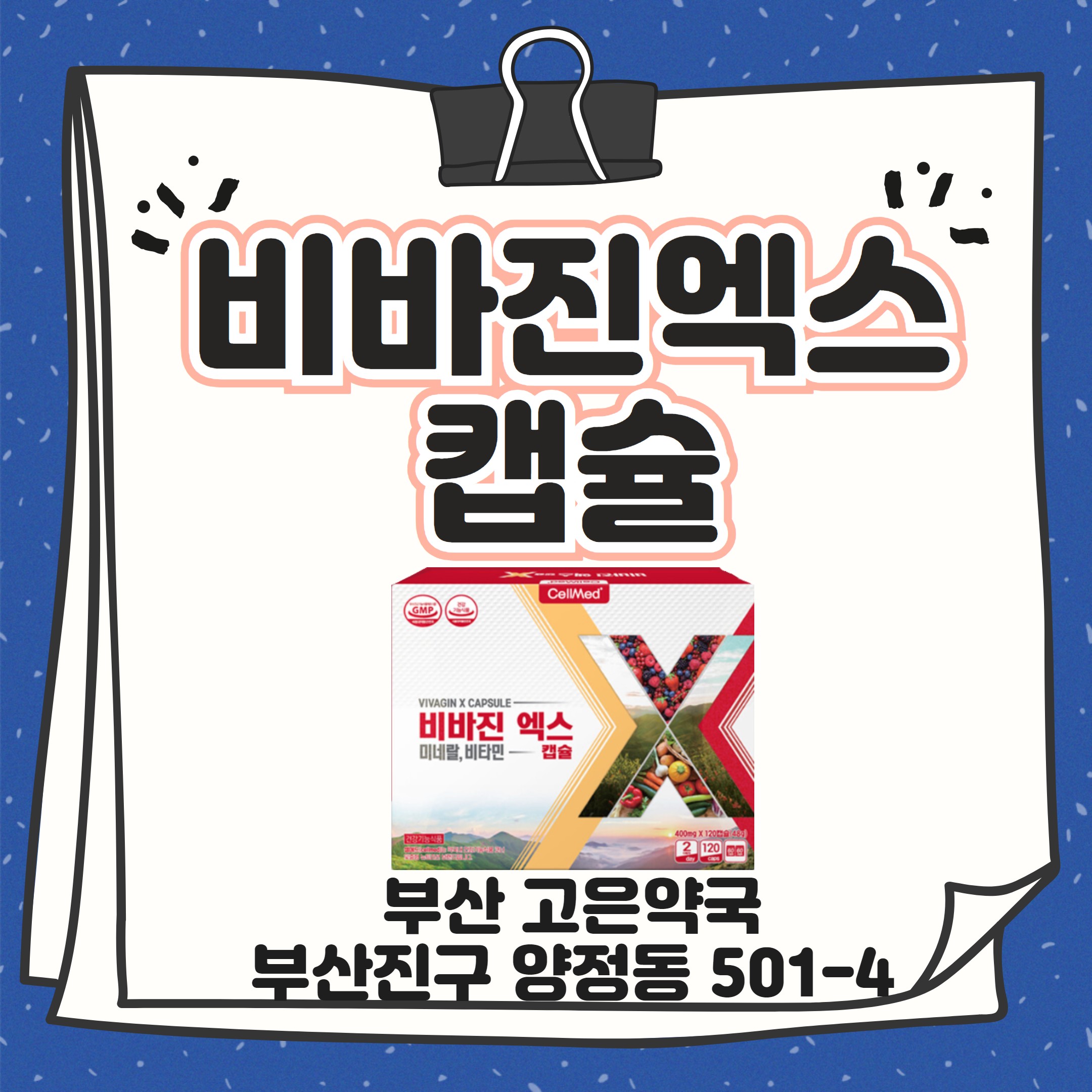 셀메드 비바진엑스캡슐 자연유래 천연 영양제 부산 고은약국