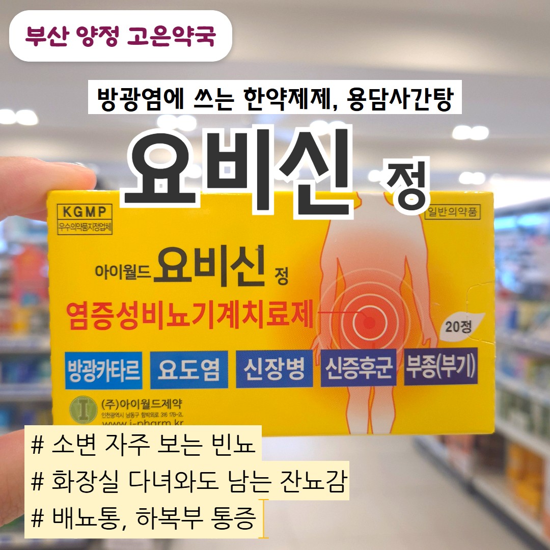 용담사간탕 요비신정 : 방광염 오줌소태 증상 · 효과 · 복용법