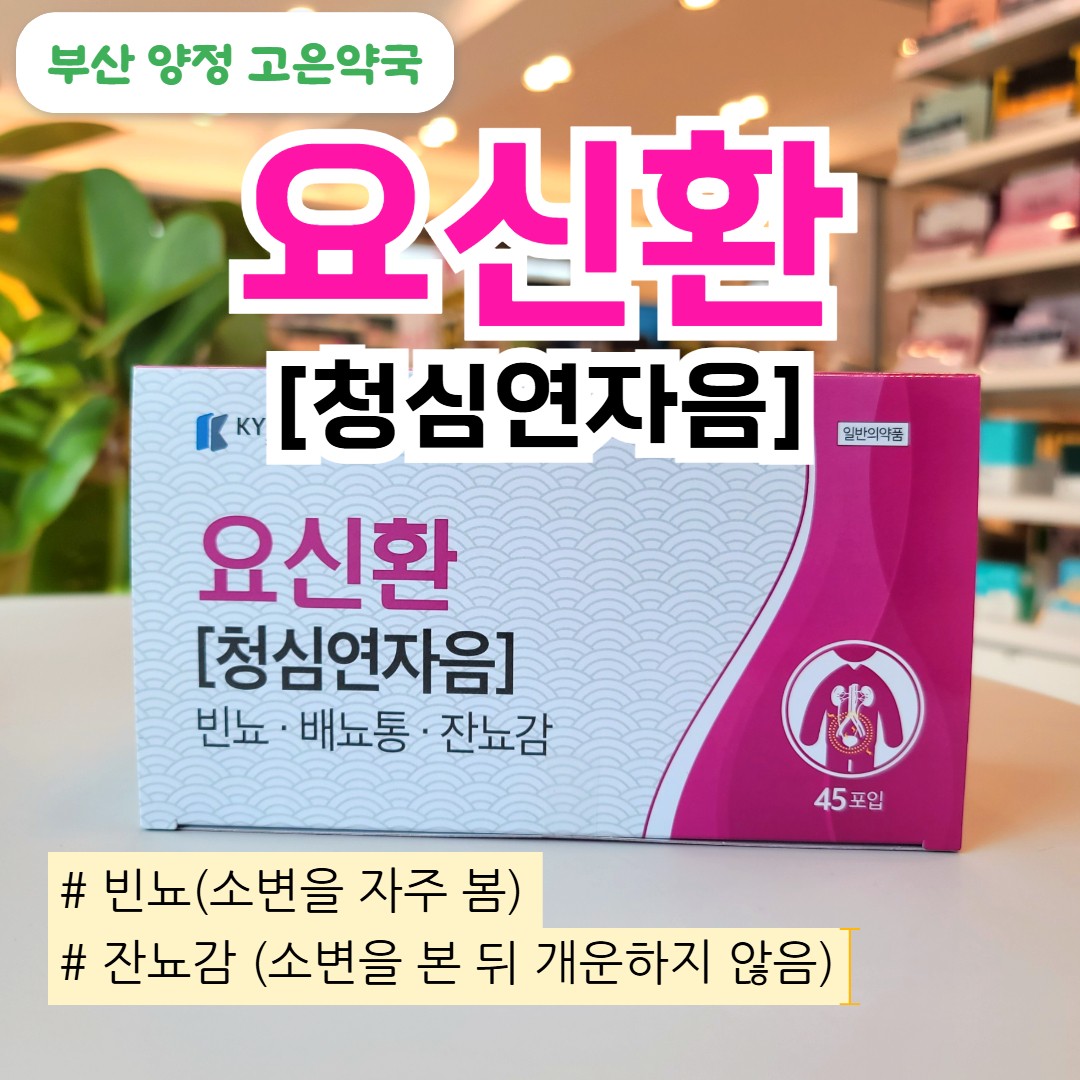 요신환(청심연자음) 효능 총정리｜불면·심장 두근거림·잔뇨 요실금까지 한한방 처방